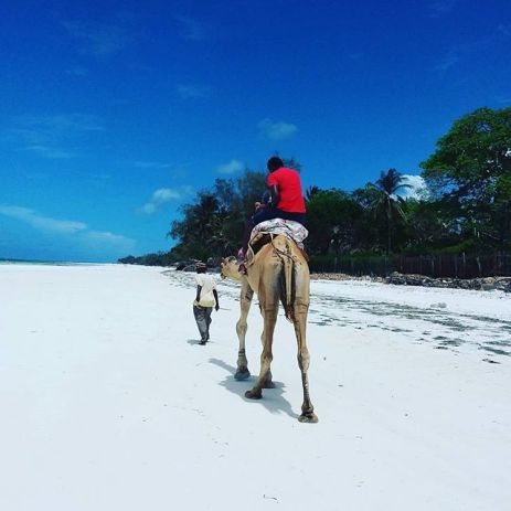 19436305_1972899806278003_6835907958774169600_n