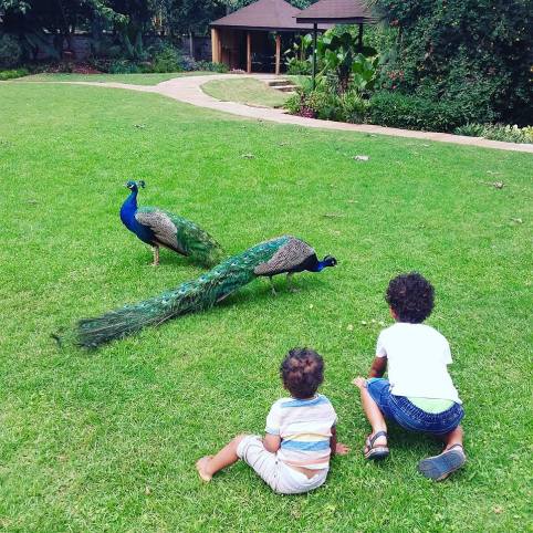 21192319_10159244462630015_4059136189138736196_n